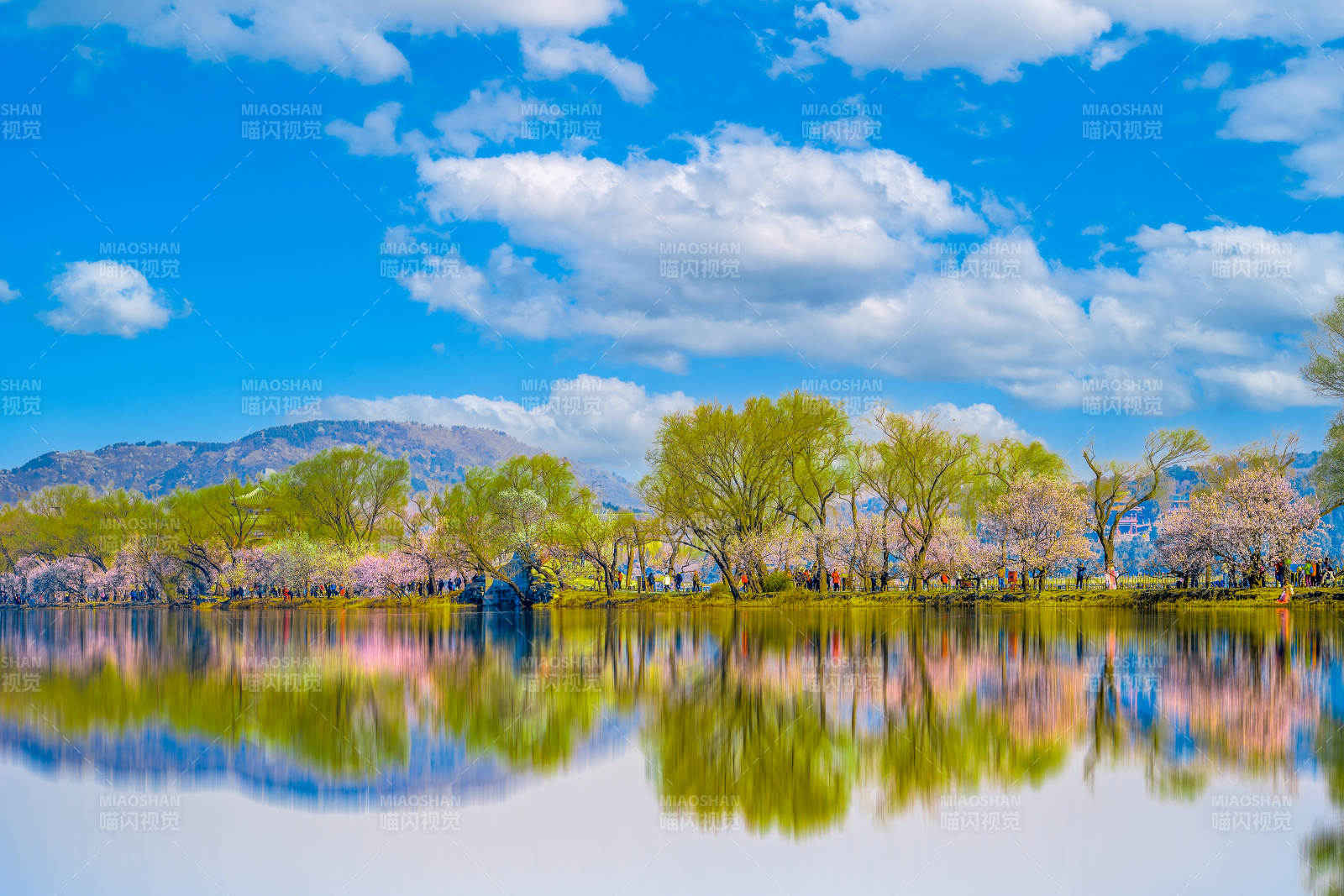 春日湖光山色图片
