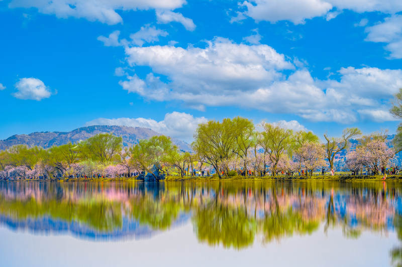 春日湖光山色图片
