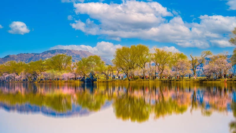 春湖倒影如画图片