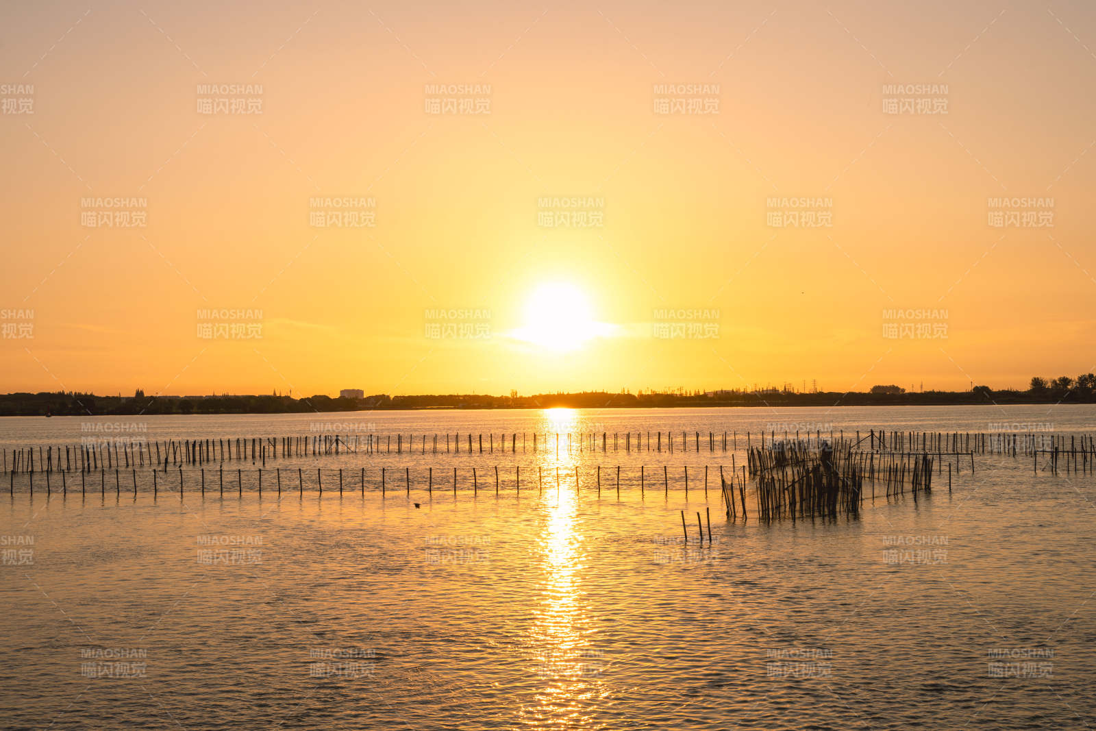 苏州周庄明镜荡日出时分湖面的竹鱼排图片