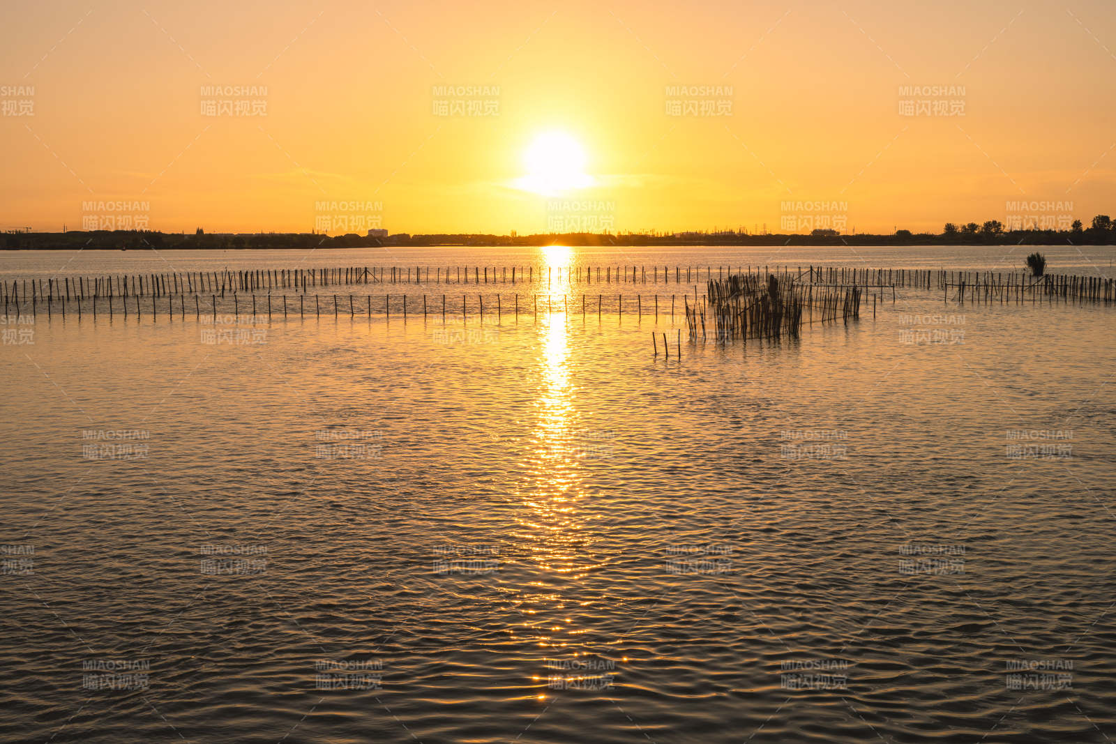 夕阳映湖水图片
