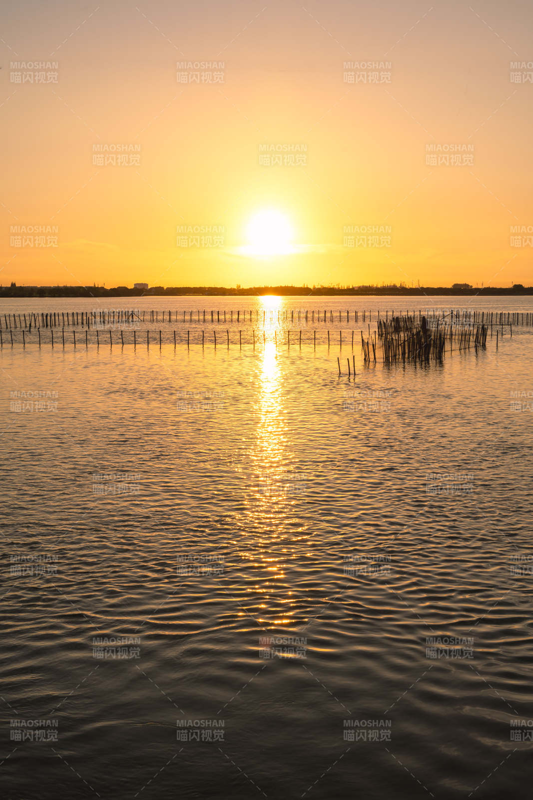 苏州周庄明镜荡日出时分湖面上竹鱼排图片