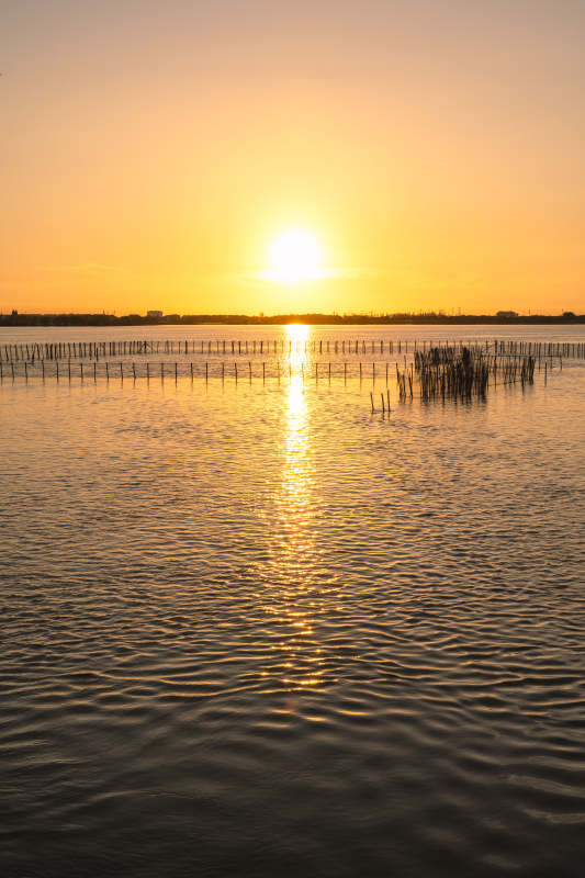 夕阳映水 静谧湖光图片