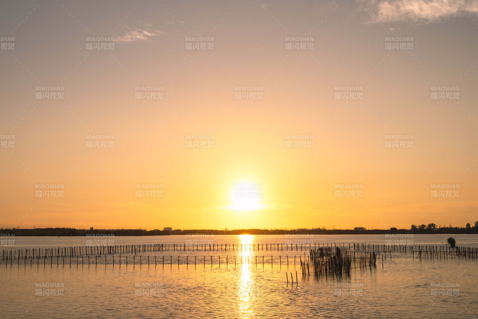 苏州周庄明镜荡日出湖面上的竹鱼排图片