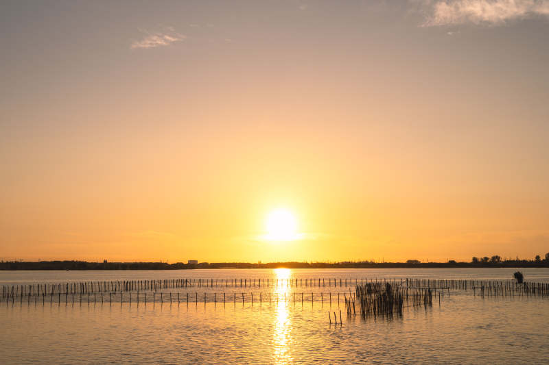 夕阳映湖景图片