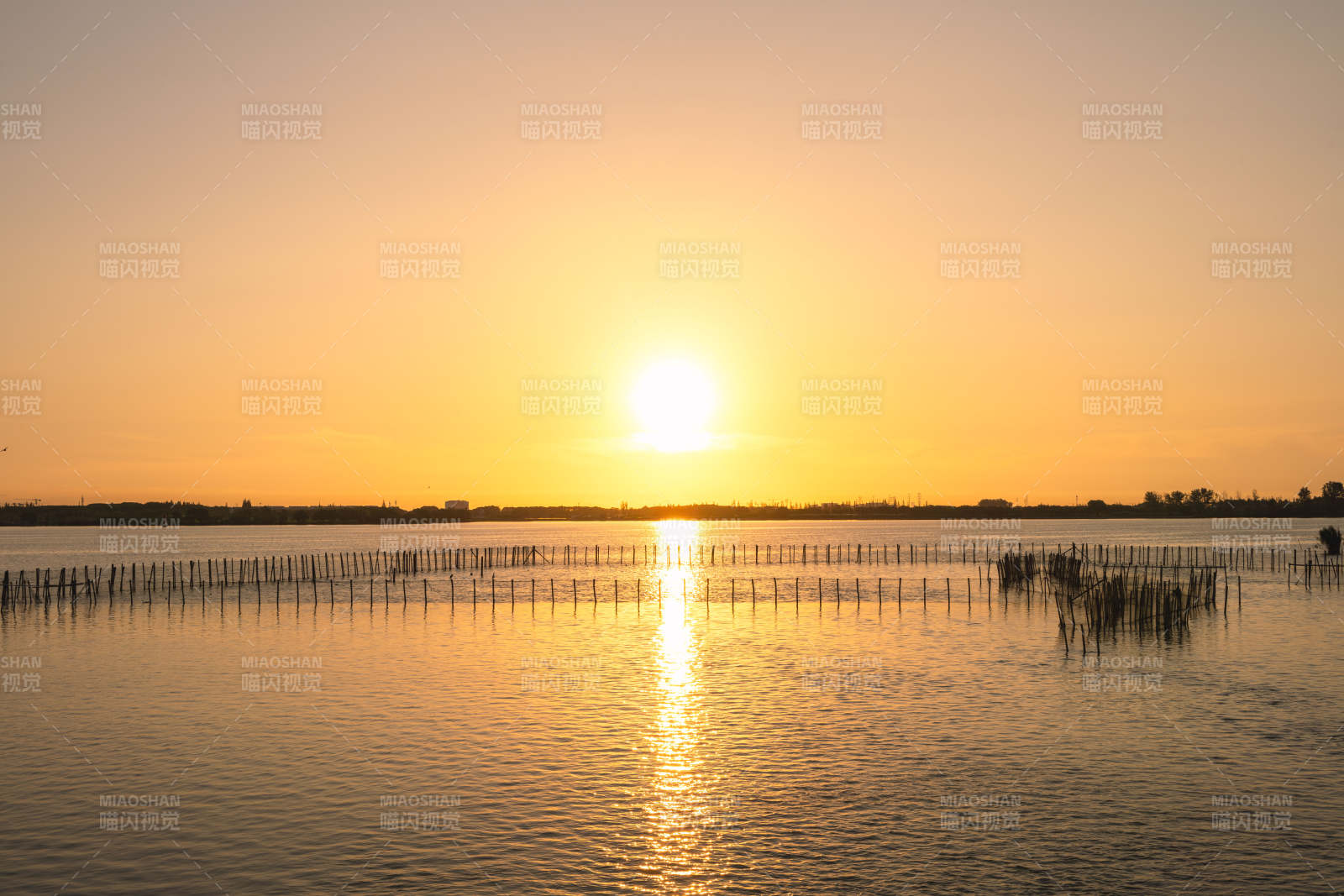 苏州周庄明镜荡日出湖面的竹鱼排图片