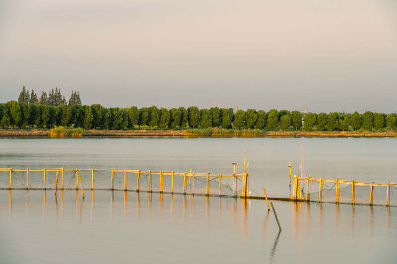 湖畔竹栏静景图片