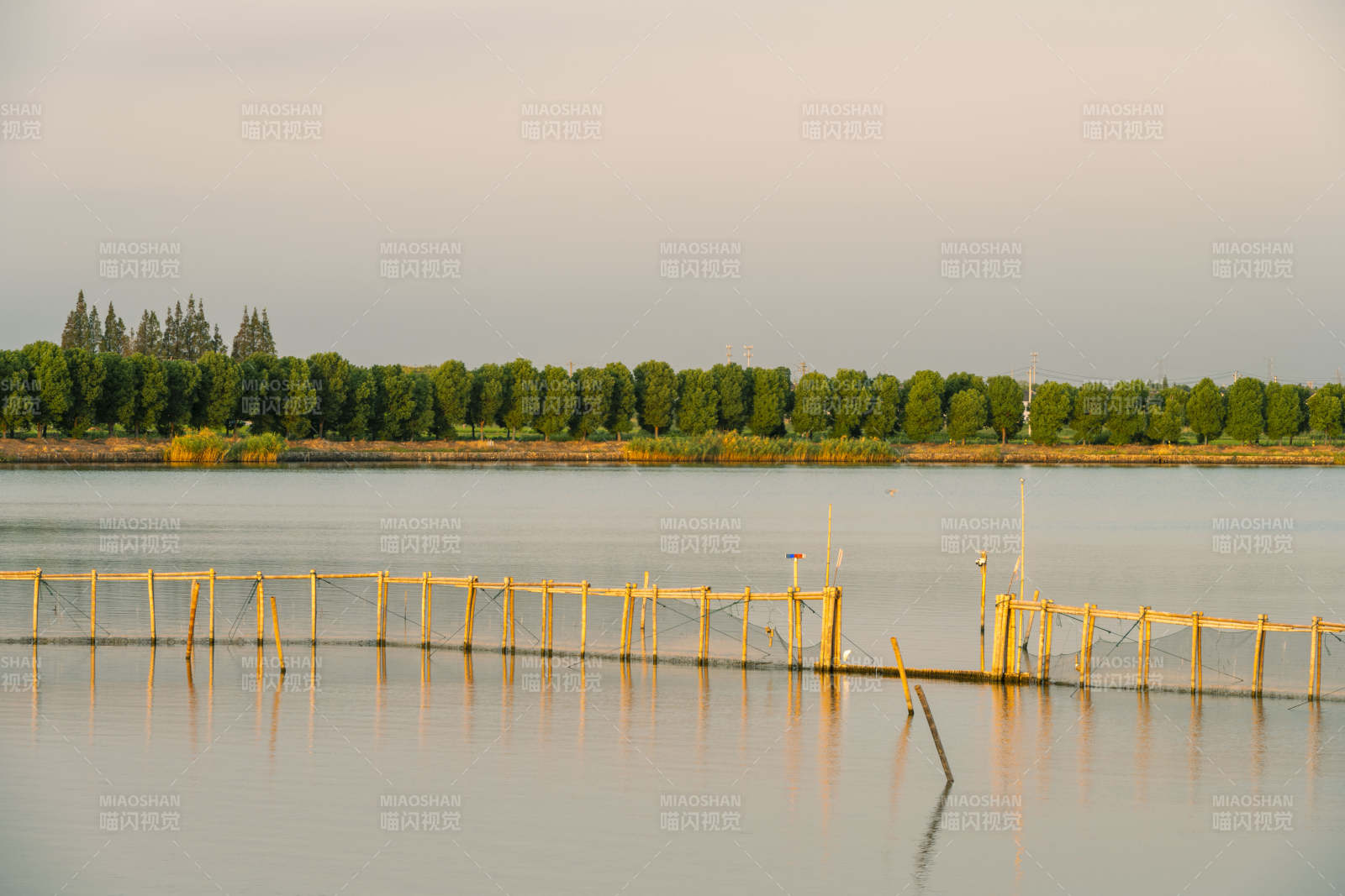 湖畔竹栏静景图片