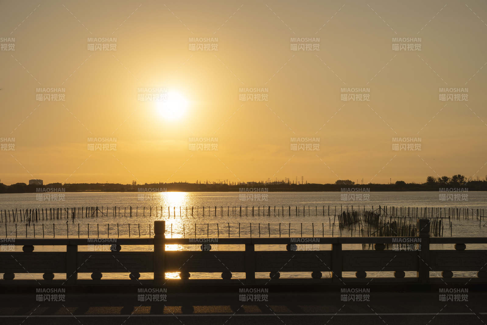 苏州周庄晨光中静谧的明镜荡图片