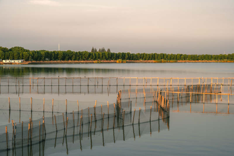 湖面竹栏倒影图片