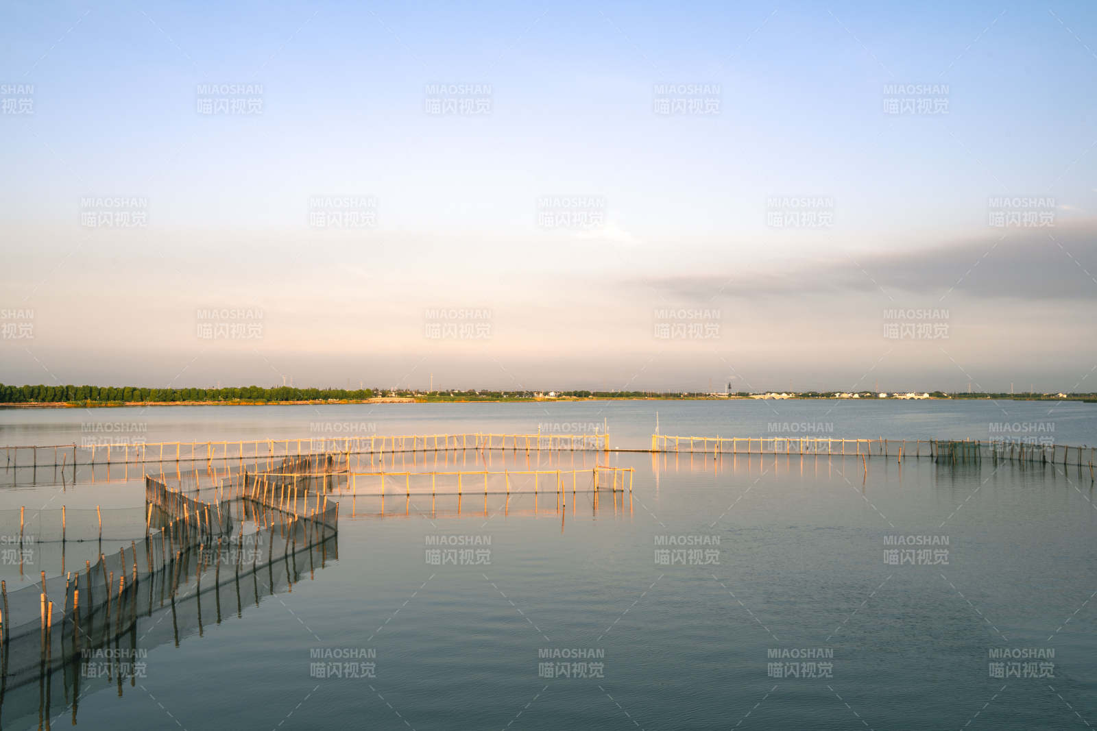 苏州周庄明镜荡晨曦中的竹鱼排图片