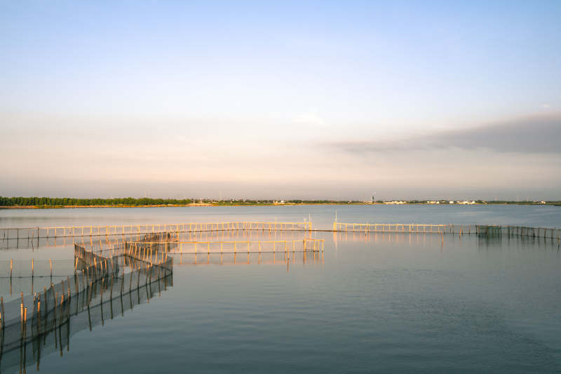 静谧湖面围栏景图片