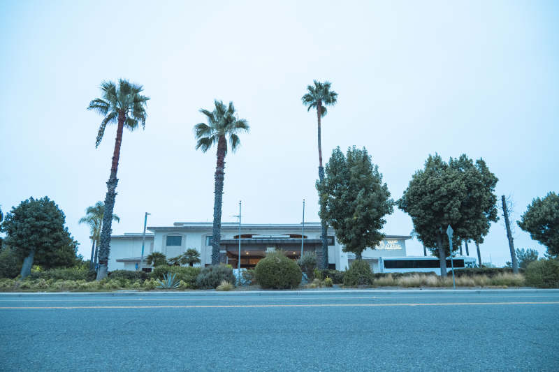 棕榈树下的建筑图片