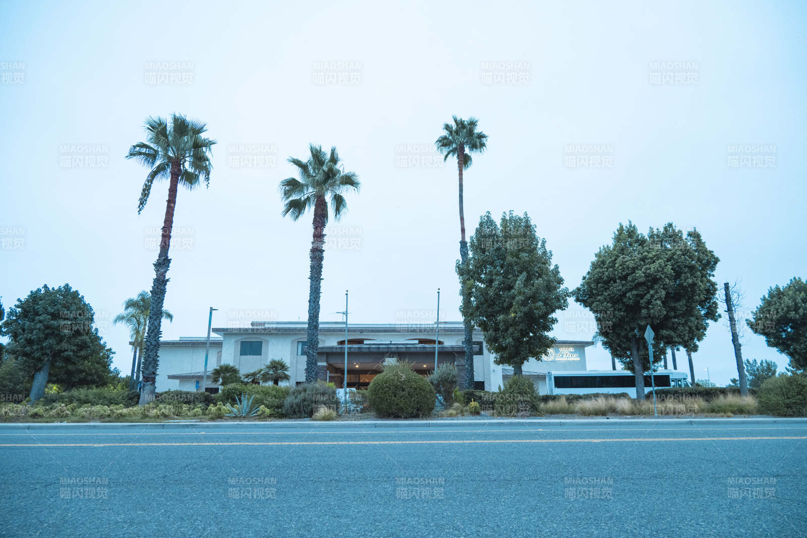 美国洛杉矶清晨的d'Liny酒店全图片