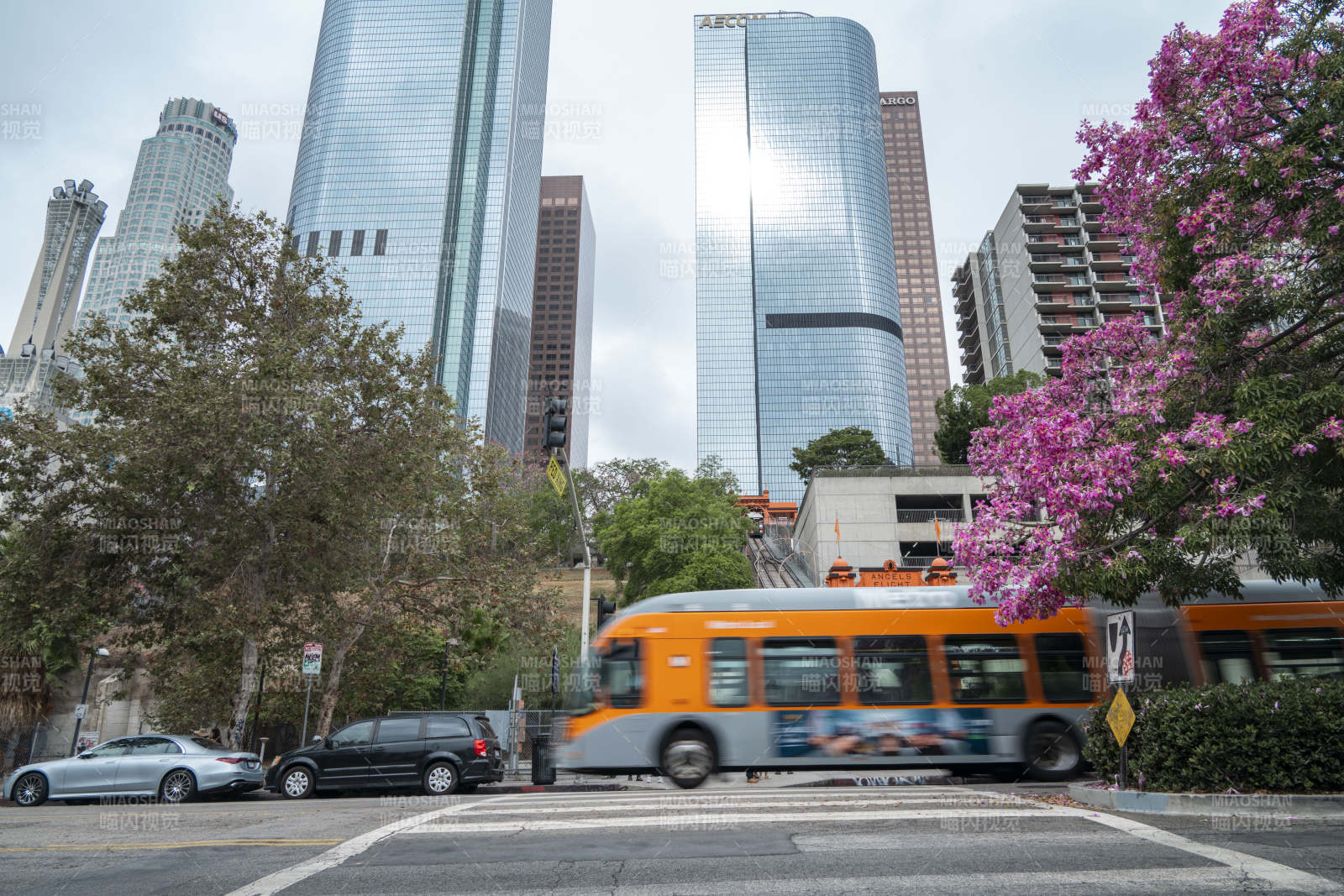 城市街景与花树图片