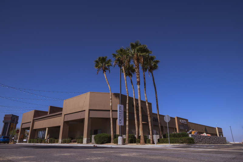 棕榈树下的现代建筑图片