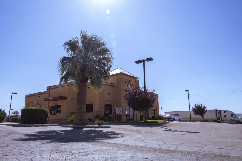 阳光下的棕榈树与建筑图片