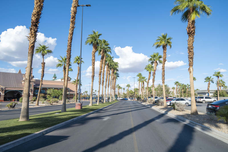 棕榈大道风光图片