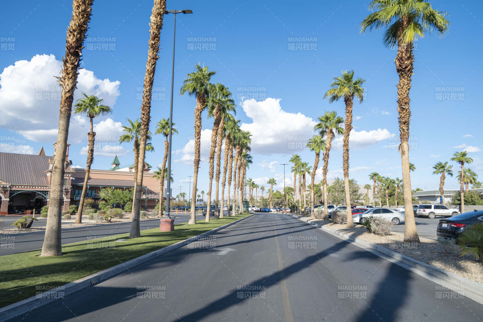 棕榈大道风光图片