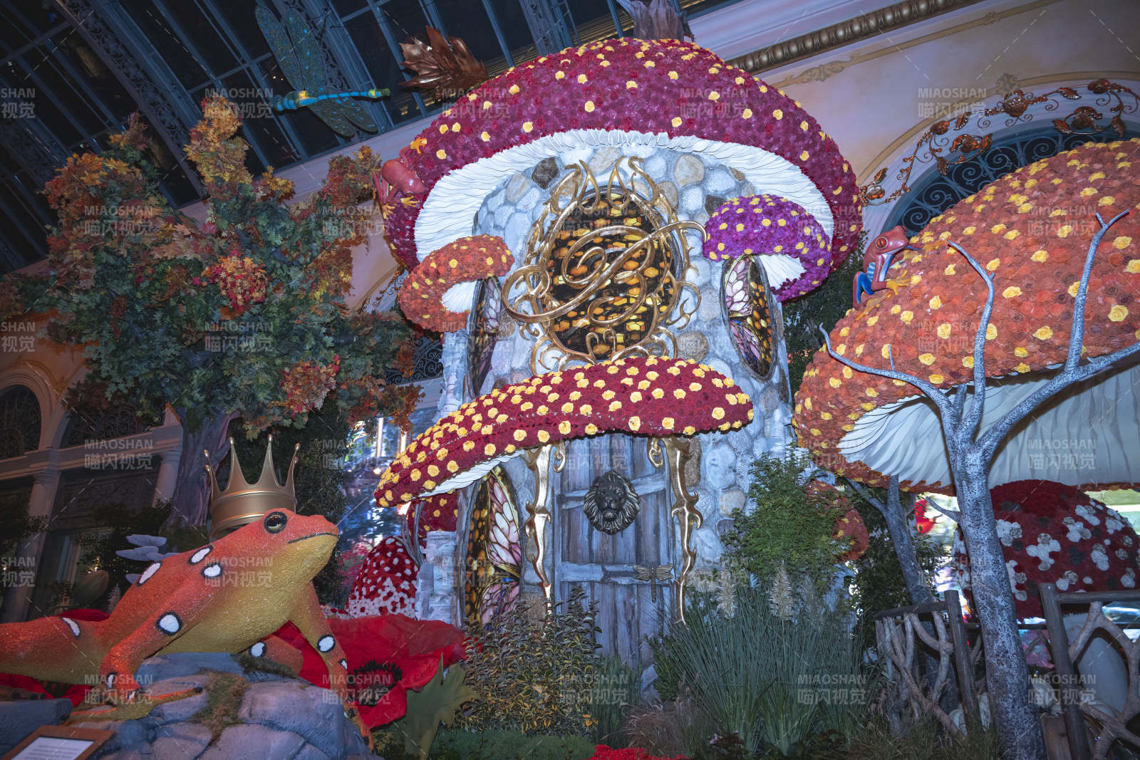 奇幻森林童话世界图片