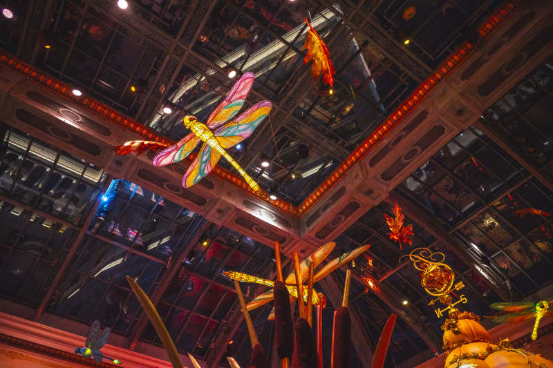 彩龙飞舞夜景图片