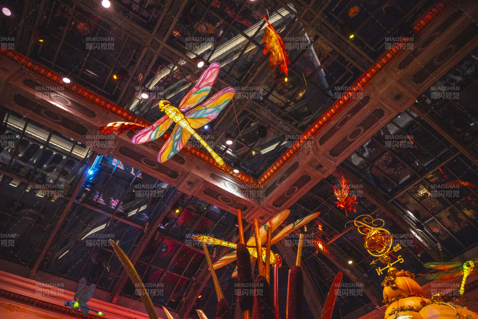 彩龙飞舞夜景图片