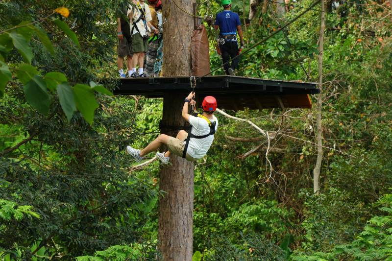 丛林飞跃体验图片