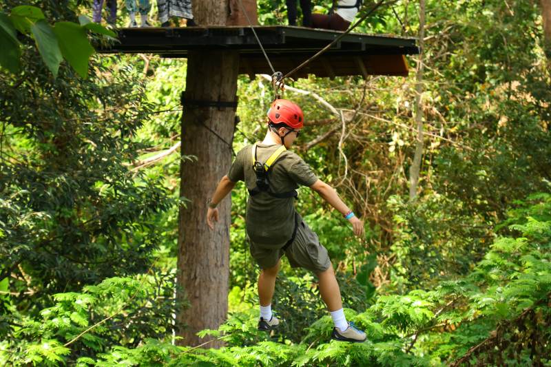 丛林探险 勇者前行图片