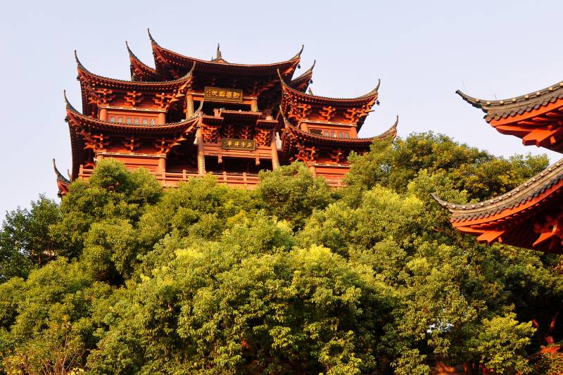 古塔隐于绿树间图片