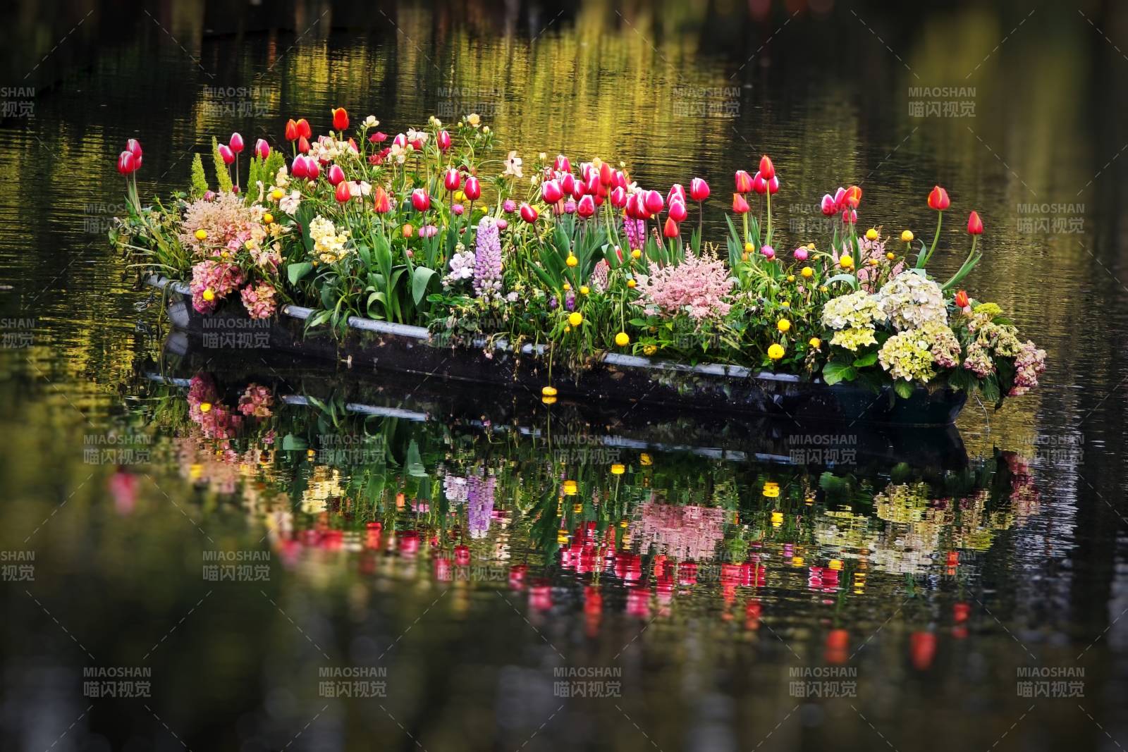 花舟映水图片