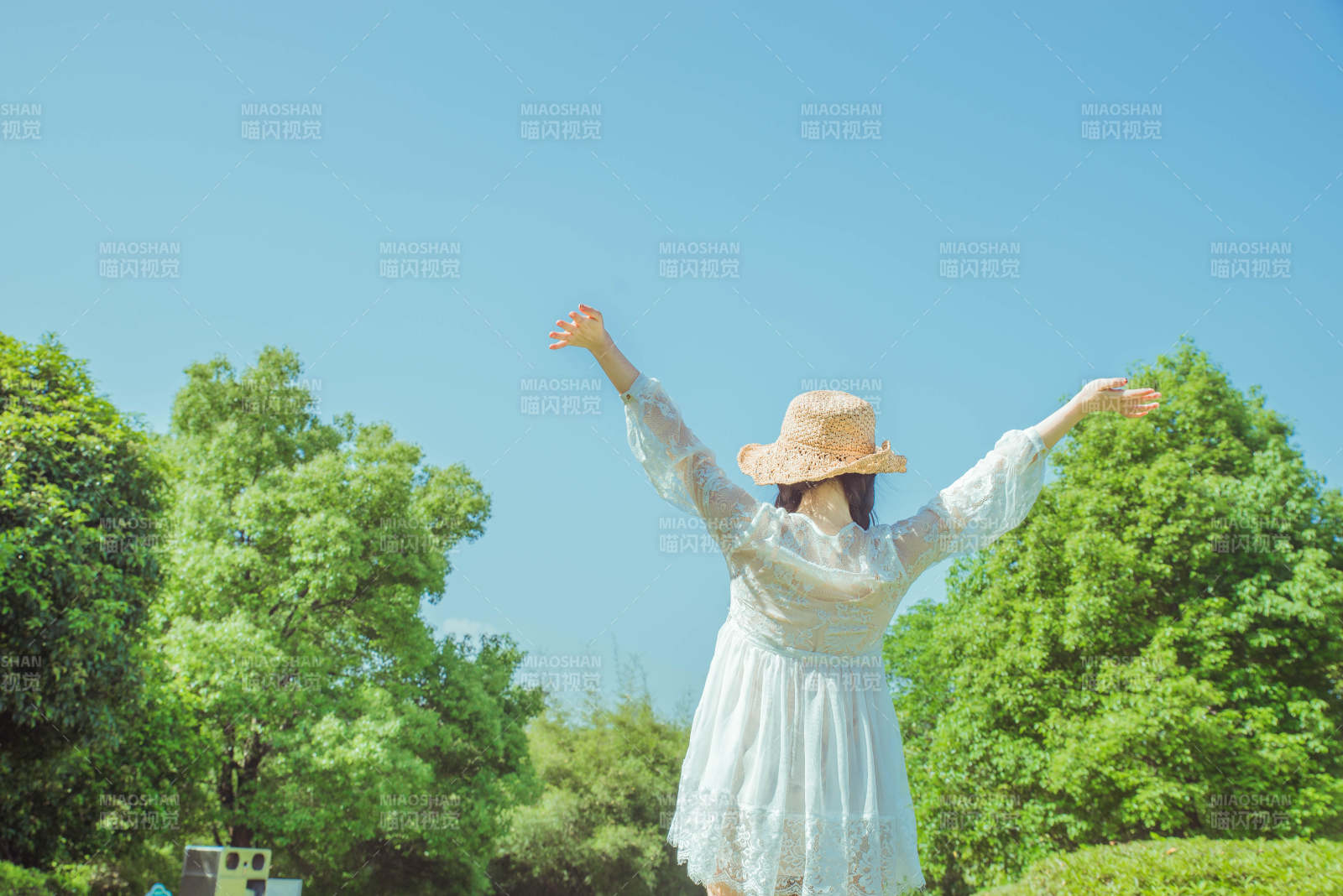 拥抱阳光的瞬间图片