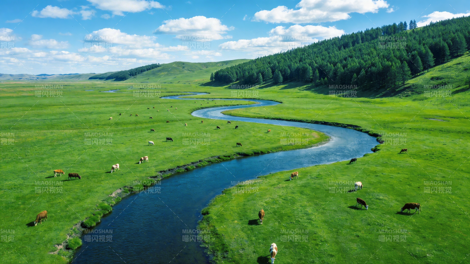 草原曲水牧牛图图片
