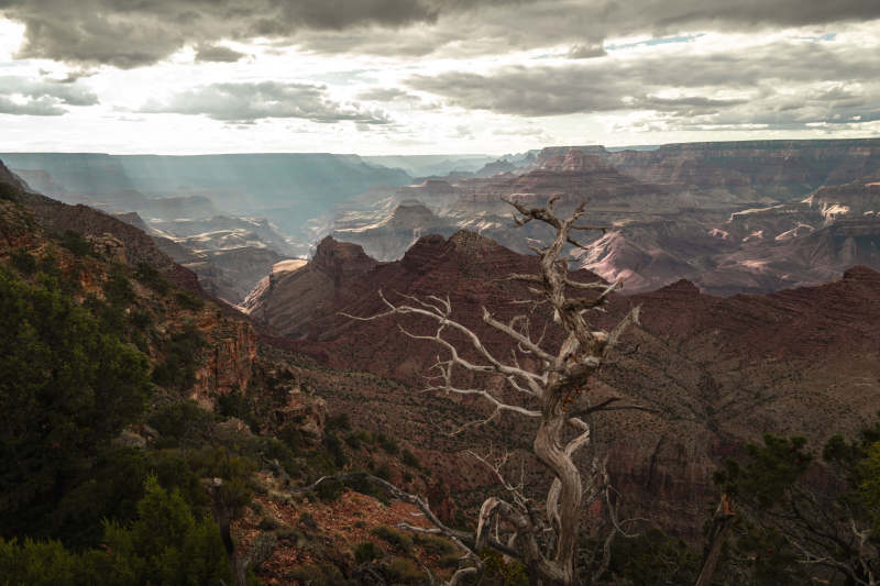 美国亚利桑那州科罗拉多大峡谷图片