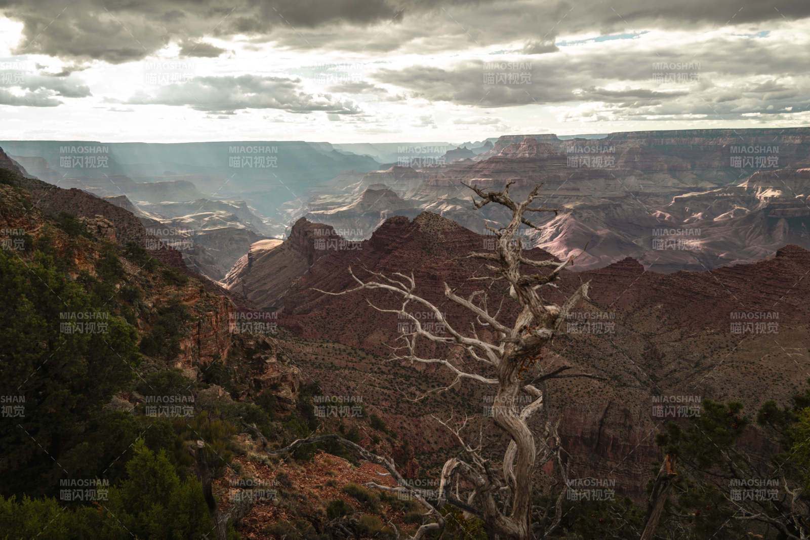 美国亚利桑那州科罗拉多大峡谷图片