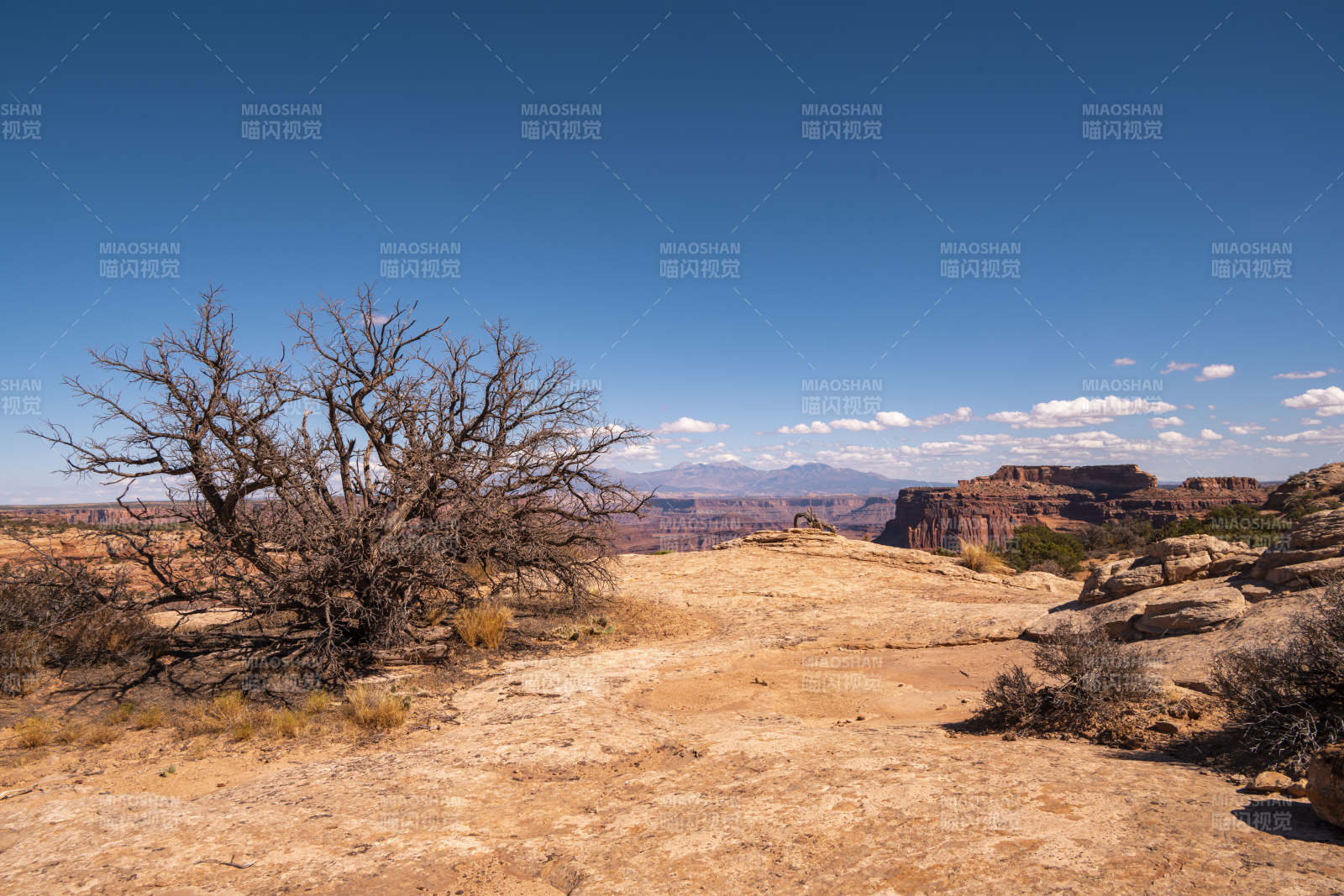 美国亚利桑那州科罗拉多大峡谷山景图片