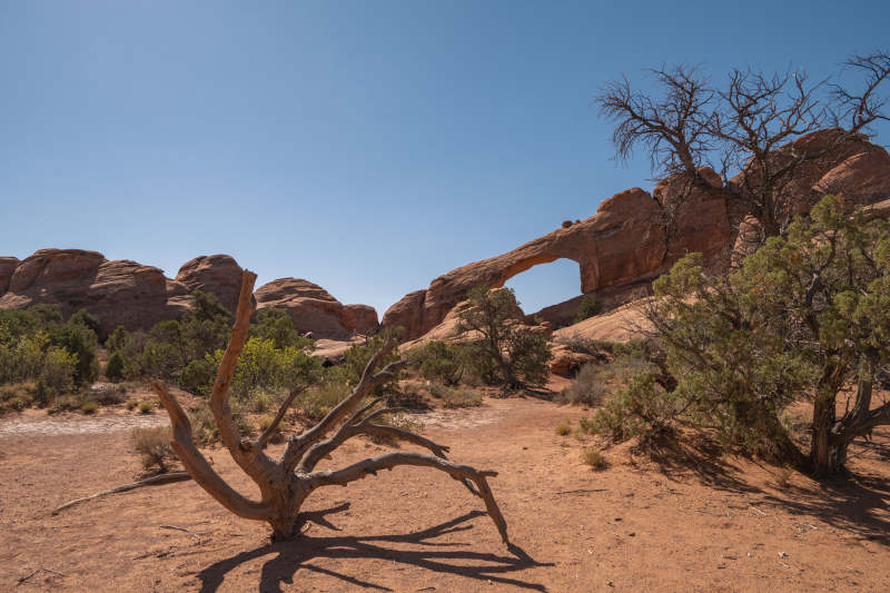 美国犹他州拱门国家公园图片