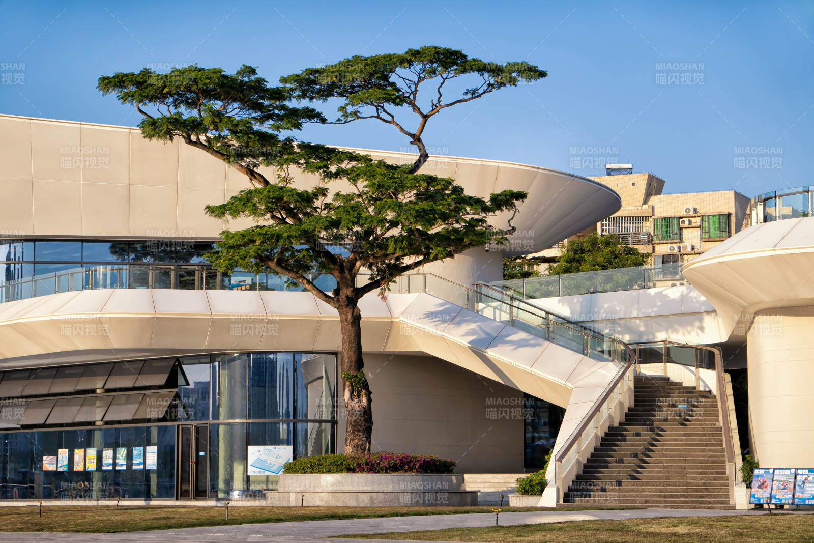 现代建筑与绿树相映图片