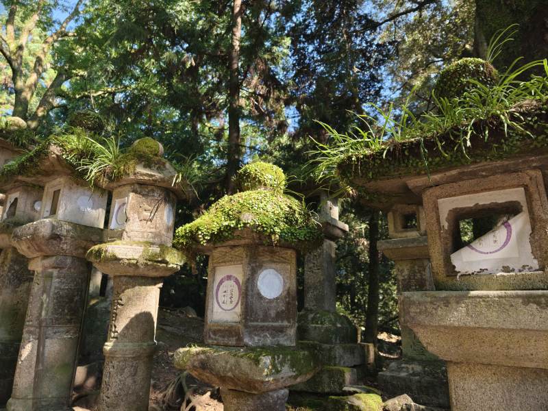 石灯古寺幽境图片