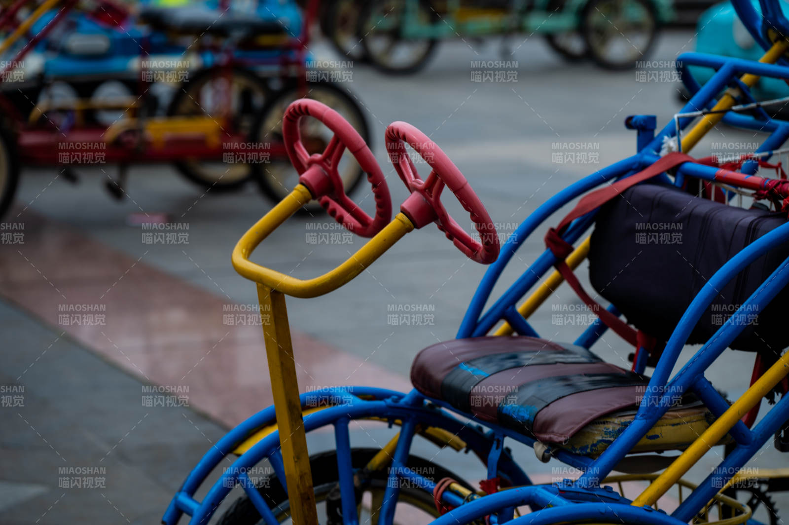 彩色脚踏车—大冶世纪林图片