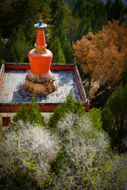 红塔秋林 承德图片