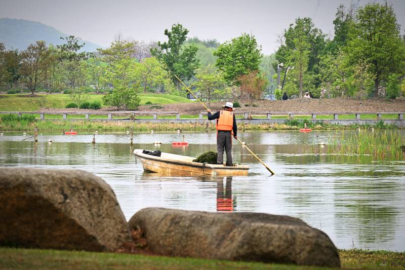 公园湖上划船清洁工图片