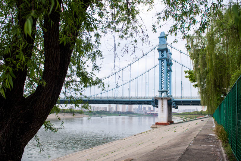 桥畔绿荫水景图片