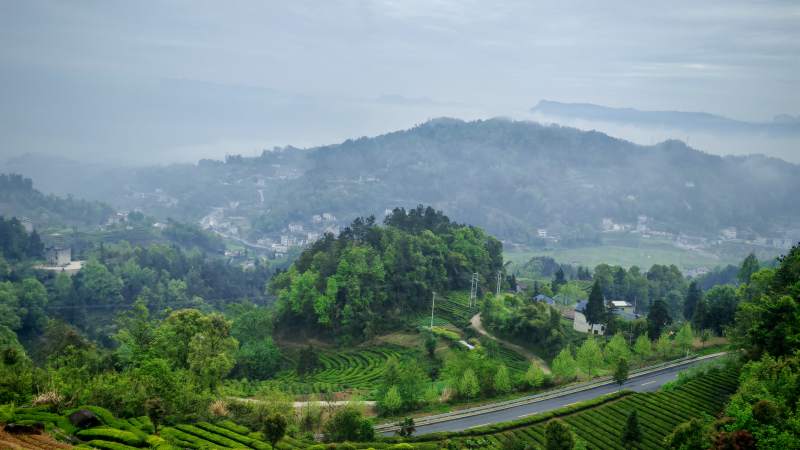 秭归县芝茅路沿线田园风光图片