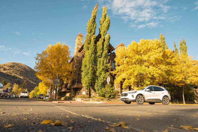 秋日街景 金叶映衬古屋图片
