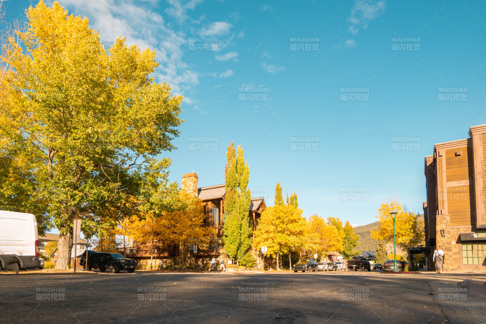 秋日街景 金叶映蓝天图片