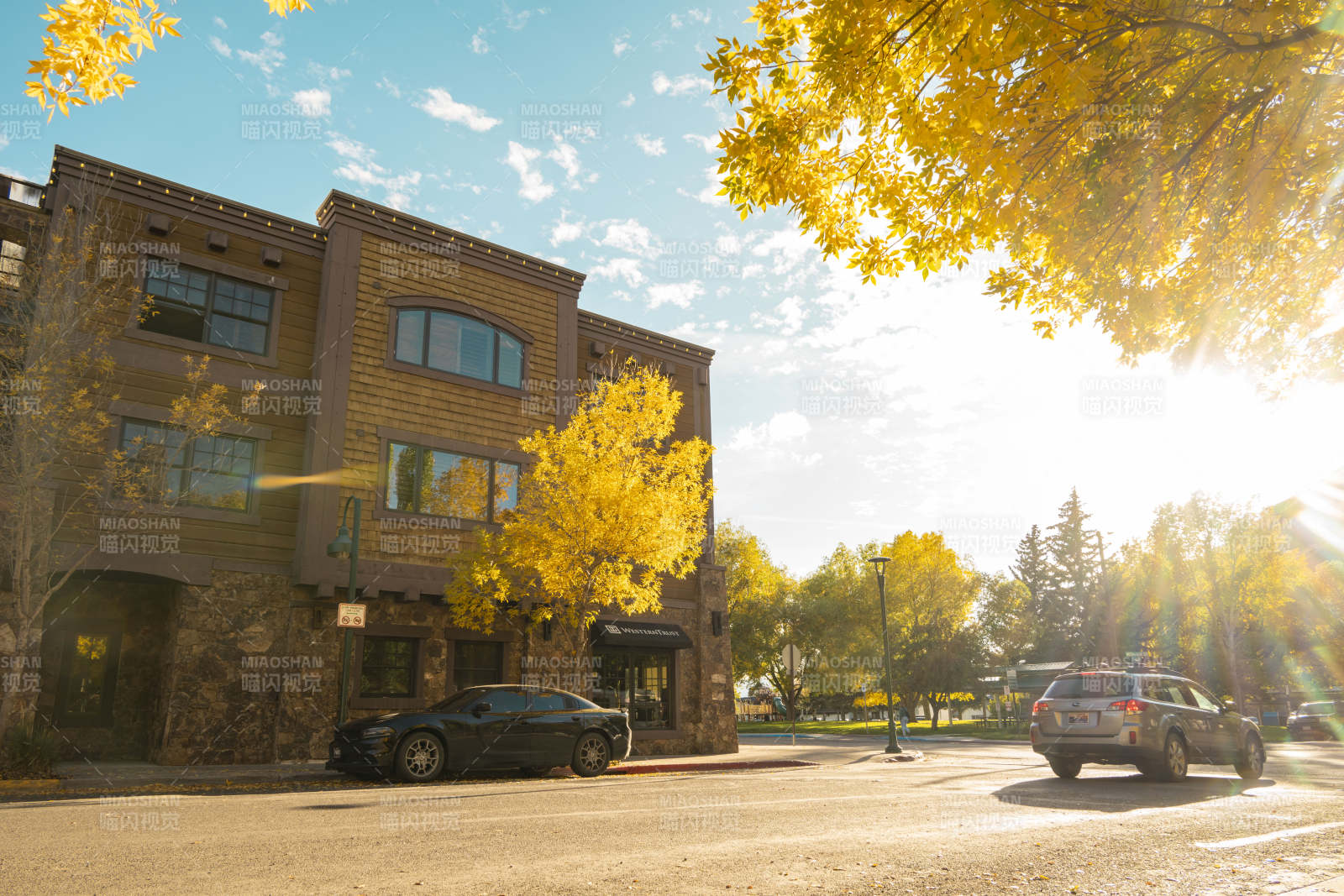 秋日街景 金叶映衬图片