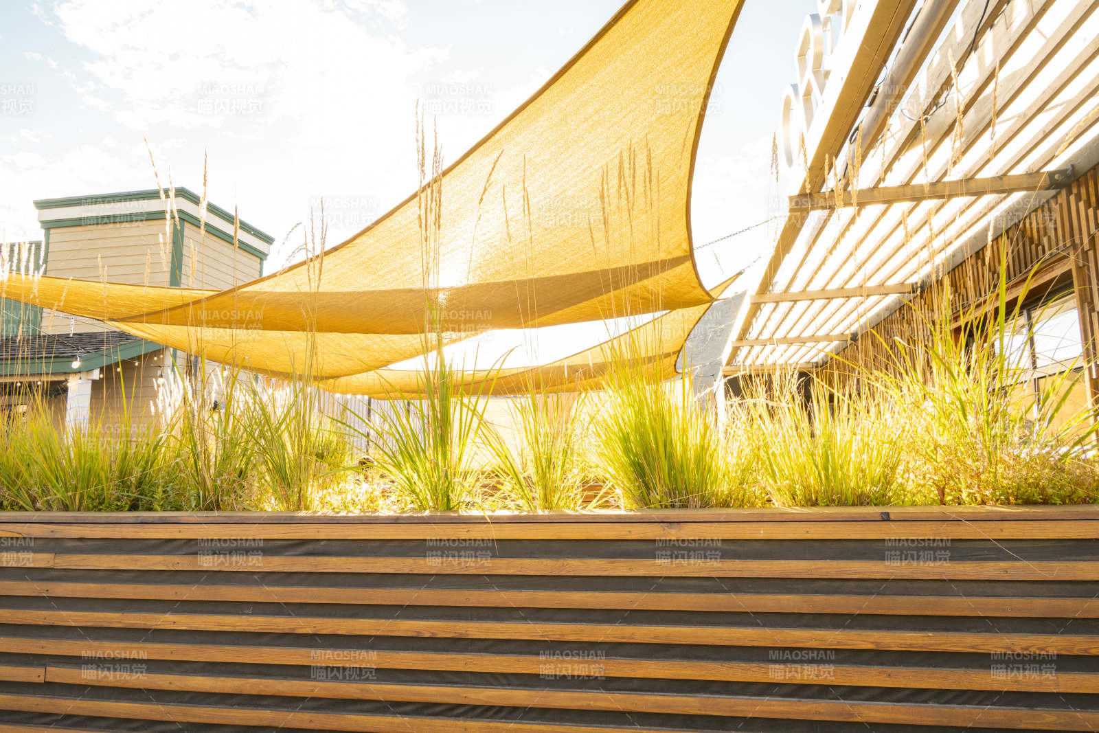 阳光下的现代庭院图片