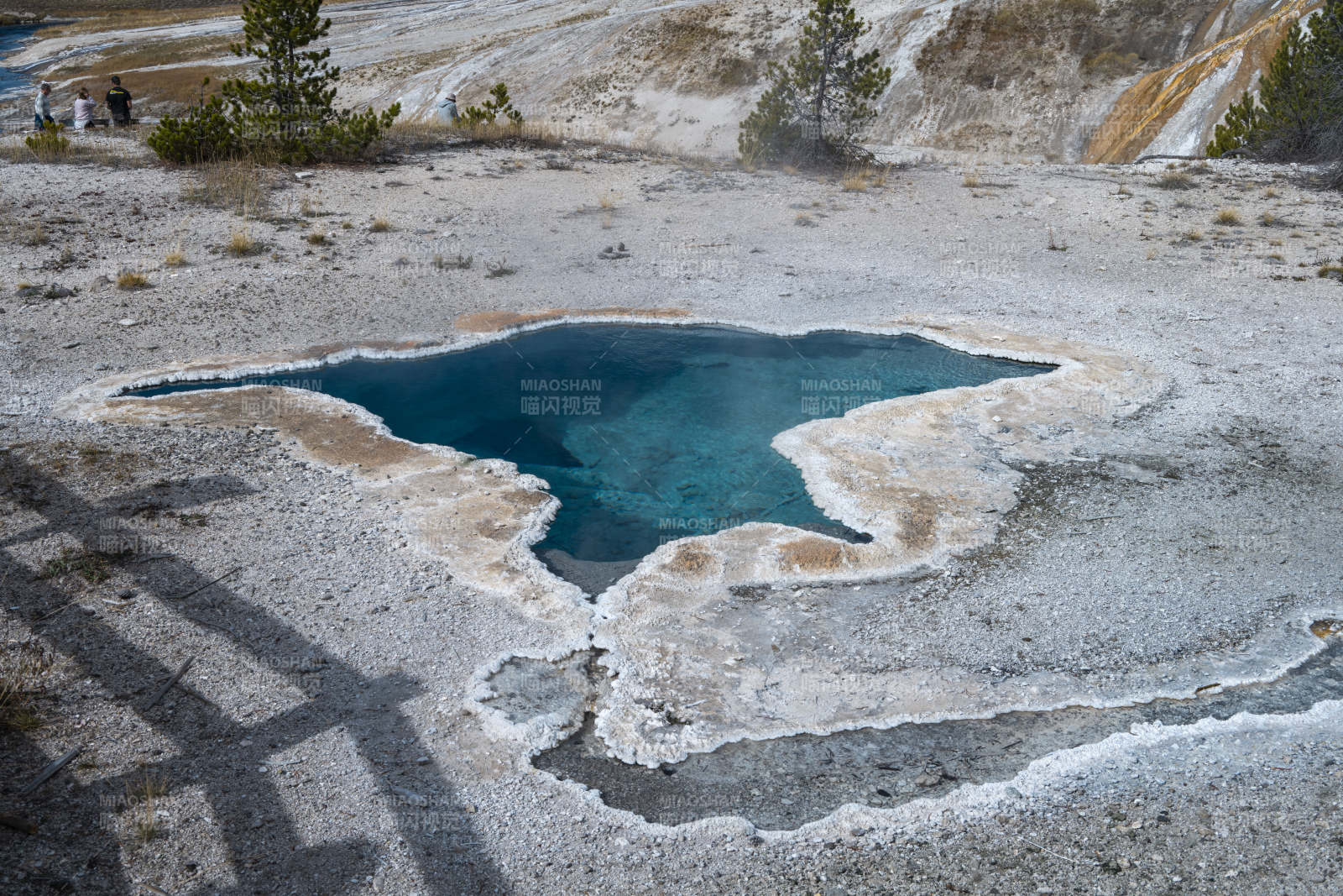 碧池映山景图片