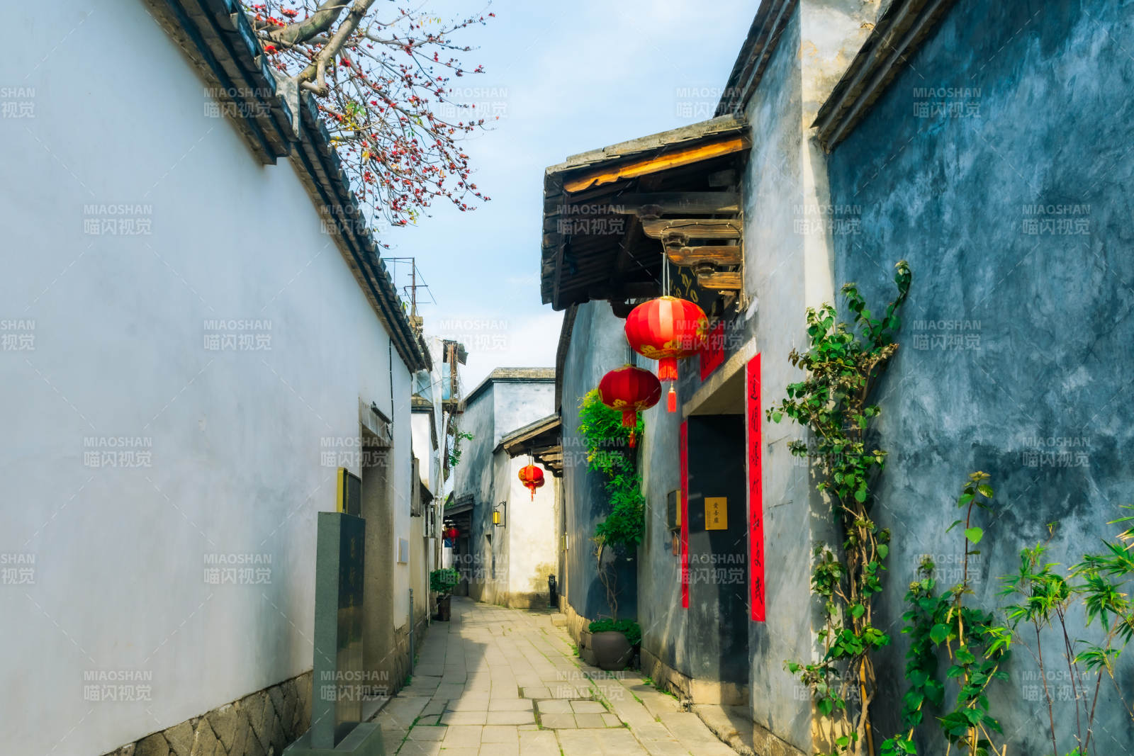 古巷红灯映春景图片