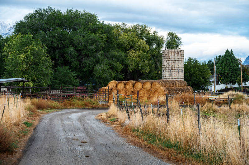 乡间小路与干草堆图片